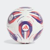 ADIDAS FOOTBALL/SOCCER BALL (MACHINE-STITCHED) (JH1267)