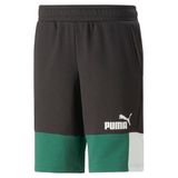 PUMA MEN ESS+ BLOCK SHORTS 10 TR VINE (84742937)