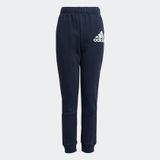 ADIDAS BOYS BADGE OF SPORT PANTS (H07735)