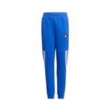ADIDAS BOYS FUTURE ICONS 3-STRIPES TAPERED-LEG PANTS (H26640)