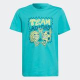 ADIDAS BOYS BOYS TEAM ADIDAS GRAPHIC T-SHIRT (HA4056)