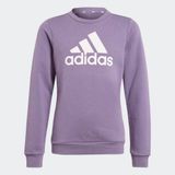 ADIDAS GIRLS G BL SWT (IM2629)