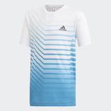 ADIDAS BOYS YB TR FAD TEE (DV1379)