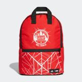 ADIDAS NOT SPORTS SPECIFIC BACKPACK (GN2090)