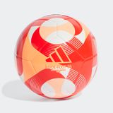 ADIDAS FOOTBALL/SOCCER BALL (MACHINE-STITCHED) (IW6329)