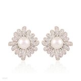 Fancy pearl petals silver earrings