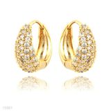 Zircon Loop Earrings