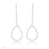 Delicate Long Drop Earrings