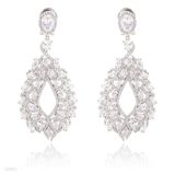 Fine Exquisite  Clear Drop Earrings