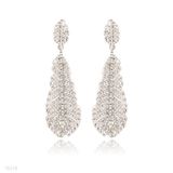 Fancy Feather Earrings