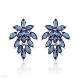 Pretty blue flower bunch earrings